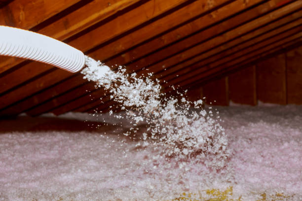 Best Insulation Replacement Services  in Erie, CO