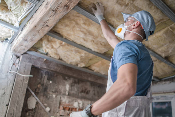 Best Cellulose Insulation  in Erie, CO